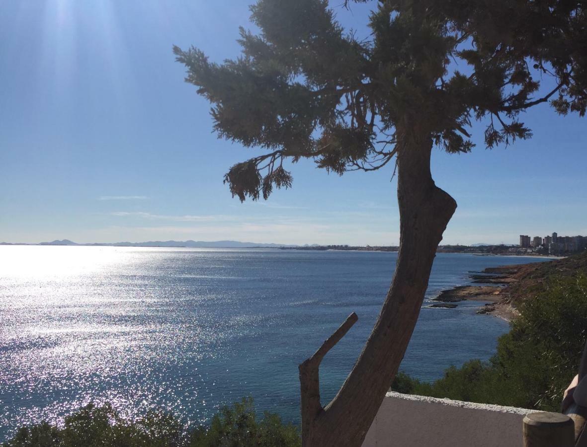 Martina Lejlighed Torrevieja Eksteriør billede
